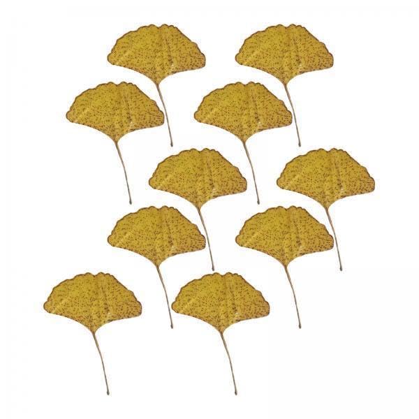 SNAPPSY 2x10x Dried Pressed Leaves Dried Ginkgo Leaves for Jewelry Making Candle Resin-image-18
