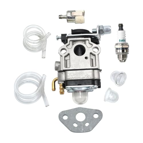 Carburateur pour 125BT et TH026D-AC57 2004-05 pièce de rechange 695008058