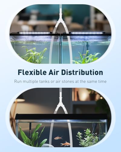 Image of Pawfly 8 Pcs Aquarium Airline Tubing Connectors, 3 /16 inch Airline Y Connector Splitter for Air Pump Tubing, 3 Way Hose Connectors, Plastic Barbed Hose Fittings for Fish Tank