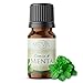 MEVA Aceites esenciales para Difusores y Humidificadores de aromas 5ml varios aromas y esencias para elegir (Menta)