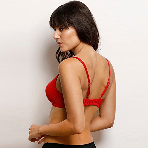 Zivame Women's Cotton Padded Underwire Full Coverage Bra Blue - Image 5