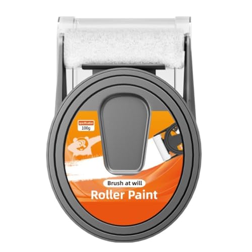 YGBWAOV Pintura para Pared, Herramienta de Reparación de con Pincel Pequeño, Kit de Reparación de Paneles de Yeso Pequeño, Kit de Reparación de Pintura de Pared 100 G