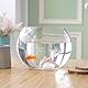 Glasvase Kugel: Glas Fischschale Klare Runde Fischschale Fischschale Aus Glas - Runde Glasschale Für Wohnzimmer Fische Mikrolandschaft Blumenanbau