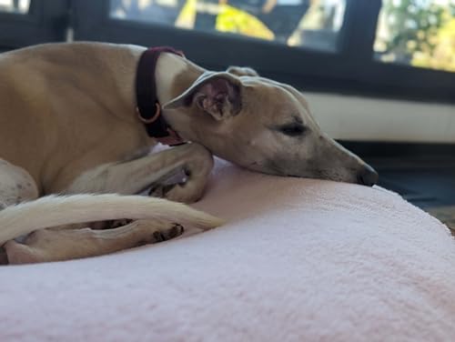 EDEL&SCHNELL Bezug für Hundebett Flocke Hundebettbezug in rosa aus weichem Fleece Ersatzbezug für Hundebett mit 125 cm Durchmesser