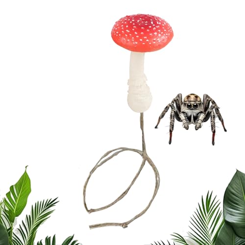 WsOXpC_[ P[W fR[V,}Olbg I[ig - }Olbg ঒ P[W ANZT[ - ঒   ƒ뎺p