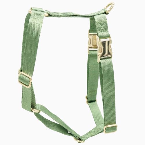 Nylon No Pull Dog Harness with Gold Metal Buckles,Easy Walking and Training Dog Harness (Sage Green, M)