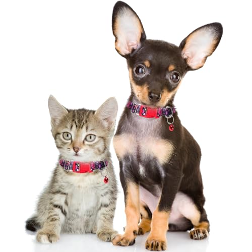 Collier pour chien XXS chat chiot petits animaux clochette noir - 7
