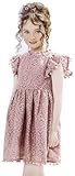 2Bunnies Girl Baby Toddler Vintage Lace Pom Pom Flutter Sleeve Easter Birthday Outfit Dress (Dusty Pink, 2T)