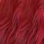 P#Red