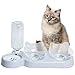 Comedero Gatos 3 Cuencos,Cuenco del Gato Doble Tazón,15 ° Inclinación Tazón de Alimentación,Platos para Gatos,Cuenco Comida para Gatos y Perros Pequeños y Animales Pequeños