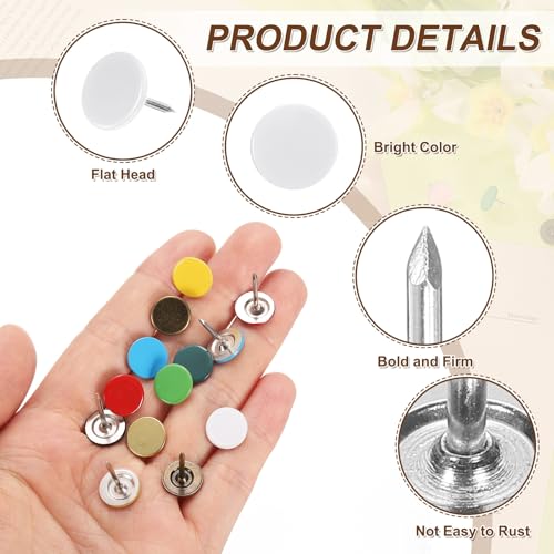 Punaises à tête plate blanche 11mm uxcell fixation canapé solide