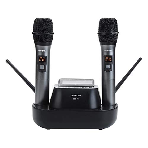 Rechargeable Karaoke Machine with Lyrics Display Screen for Adults, with 15