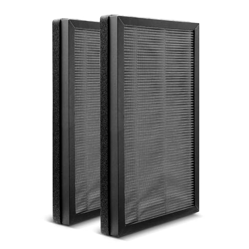 Kärcher Juego de filtros AF 20