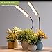 Grow Lights for Indoor Plants 10 inch Lamp Full Spectrum Desk LED Grow Light with Base For Indoor Plant Growing Lamp, Adjustable Gooseneck, Suitable Plants Growth (Without USB Plug) (105 LEDS)