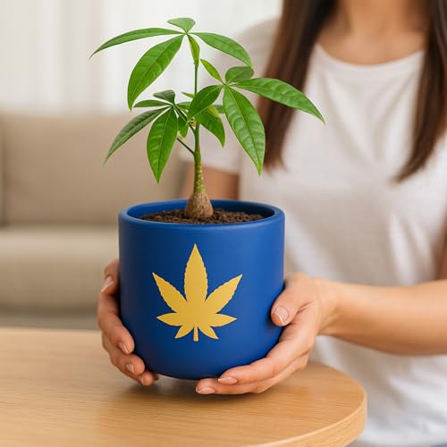 Image of Urban Plant Terracotta Pot - Trendy Planter for Modern Home & Garden Spaces (Bluesphere Terracotta Pot - Royal Blue)
