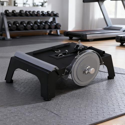 Flywheel Trainer Adjustable Professional