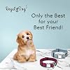 Pet-Collar-with-Metal-Buckle-and-D-Ring-Durable-Dog-Collar-with-Reinforced-Metal-Clasp-and-Nylon-Webbing-Adjustable-Dog-Collar-to-fit-Medium-Dogs-Medium-Blue-Gray-Stripe Keep Your Medium Dog Safe with Our Durable Metal Buckle Pet Collar!