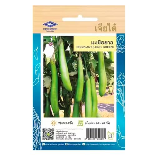 Graines d’aubergine longue verte thaï - Eggplant Long Green Chia Tai Home Garden - Aubergine asiatique pour currys, woks et grillades - Sachet de 200 graines