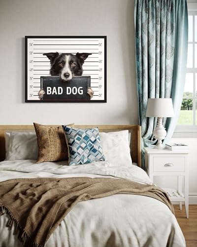 Image of aj decor Border Collie Mugshot Wall Art Print Poster, Dog Pet Lover Picture Painting Artwork Bedroom Living Room Office Dining Room 150D (Border Collie Mugshot, 16 x 20 inches, Black Frame)