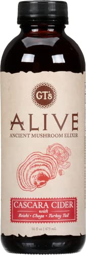 GTs, Alive Cascara Cider, 16 Fl Oz Bottle
