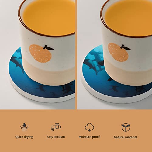 Dessous de verre requins marteaux anti-condensation pour protéger la table - 6