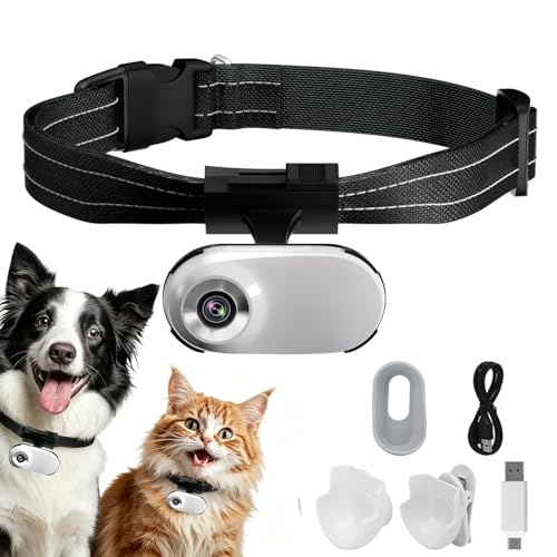ehomful HD 1080P Cat Camera Collare con Registrazione Video, Mini Macchina Fotografica Wireless Sportiva, Piccole Telecamere di Azione, Corpo Camera per Pet Supplies, Articoli per