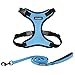 Best Pet Supplies Voyager Step-in Lock Dog Harness and 5ft Reflective Dog Leash Combo w/ Neoprene Handle - Supports Small, Medium and Large Breed Puppies/ Cats - Baby Blue Black Trim (w Leash), M