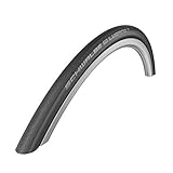 Schwalbe