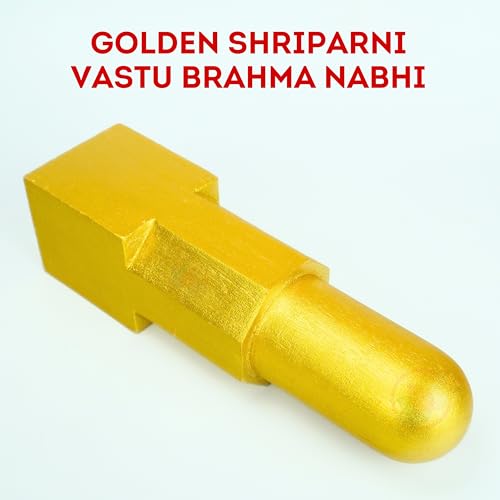 Image of REMEDYWALA Charged Vastu Shriparni Brahm Nabhi Shanku 10IN (Golden)