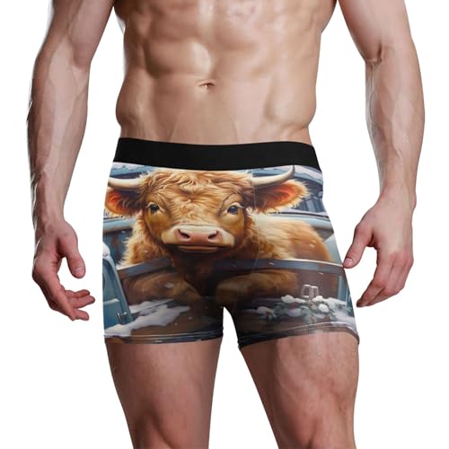 Highland Cow Animal Men's Boxer Briefs Underwear Stretch Breathable Boxer Briefs for Men Boys Kids S S04039762