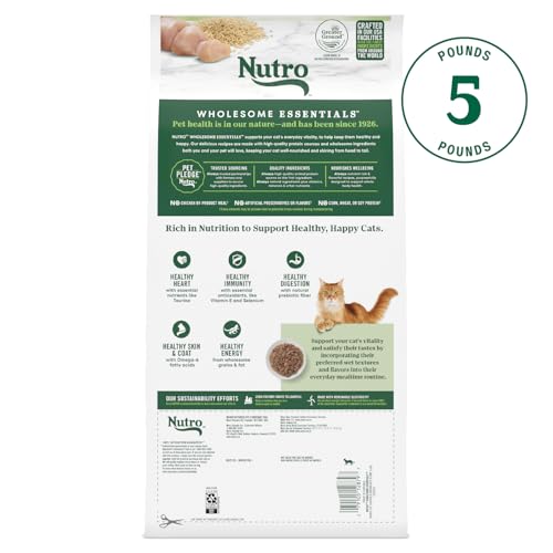 Image of Nutro Wholesome Essentials Senior Dry Cat Food, Chicken & Rice, 5 lb
