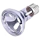 Trixie 76007 Neodymium Wärme-Spotlampe, ø 63 × 100 mm, 75 W