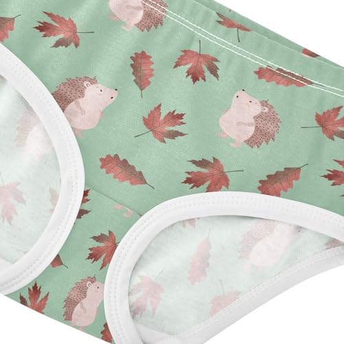 Little Girl Underwear Toddler Panties Kids Undies Hedgehogs Soft Cotton Briefs 2T-8Y4
