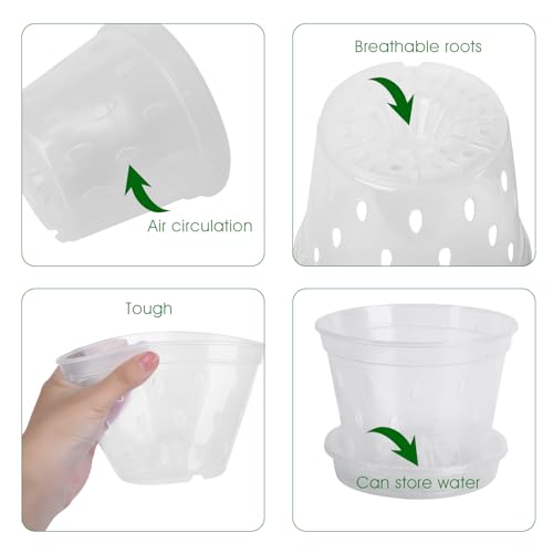 Yanuojie Seedling Pot, 5Pcs Plastic Clear Orchid Pot with Holes and Tray 14cmx10.5cmx9.3cm(Tray 13x2.5cm) - Image 3