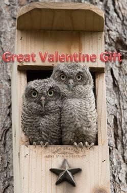 Screech Owl House - Nesting Box - Rectangular Opening