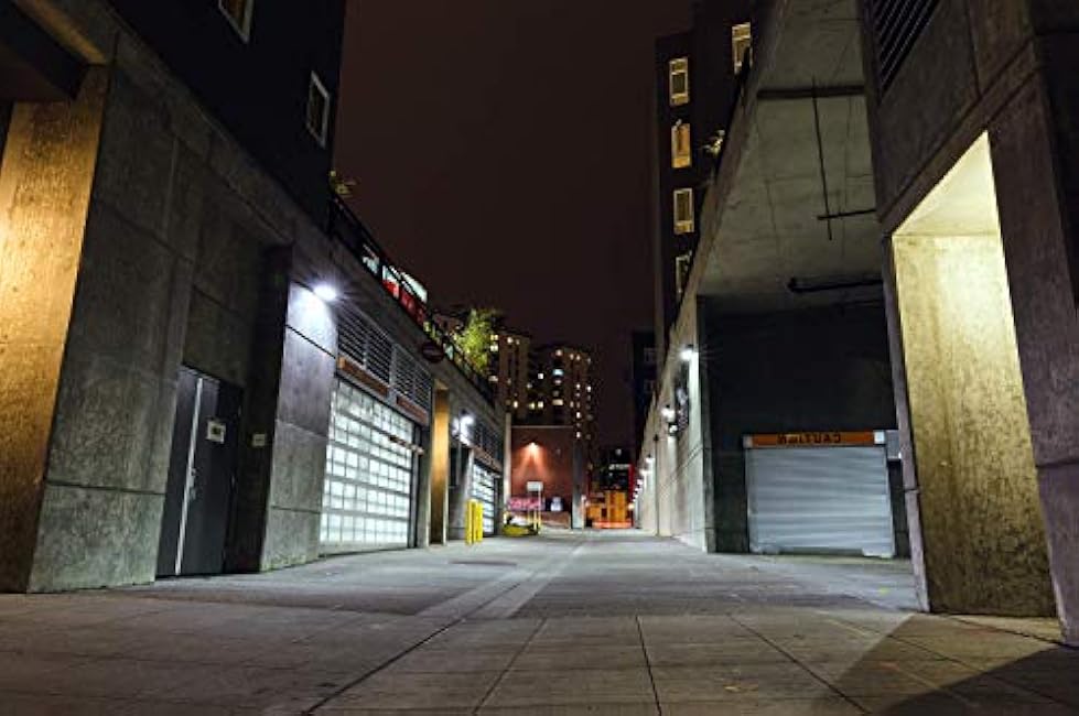 EOF Series Bronze Outdoor LED Full Cutoff Emergency Wall Pack with Photocell, 5000K (EOF1MV5KBZP