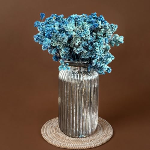 Image of Himalayan Daisy Dried Flowers | Natural Dried Blooms| 70 Grams | Naturally Preserved, Delicate & Everlasting | Perfect for Home Decor, Floral Arrangements, Bouquets & DIY Crafts(Blue)