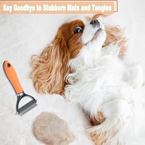 Professional Dematting Comb with 2 Sided 17+9 Precision Teeth | Ideal Deshedding Tool for Long  Short Haired Pets | Dual Holes Nail Clippers for Dogs and Cats for Beginning Trimmers  Cucciolini Doodles Professional dematting comb with 2 sided 17+9 precision teeth | ideal deshedding tool for long  short haired pets | dual holes nail clippers for dogs and cats for beginning trimmers   cucciolini doodles