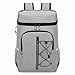 Insulated Cooler Backpack Leak Proof Aluminum Foil Inner Oxford Exterior for Camping Hiking Outdoors (Light Gray)