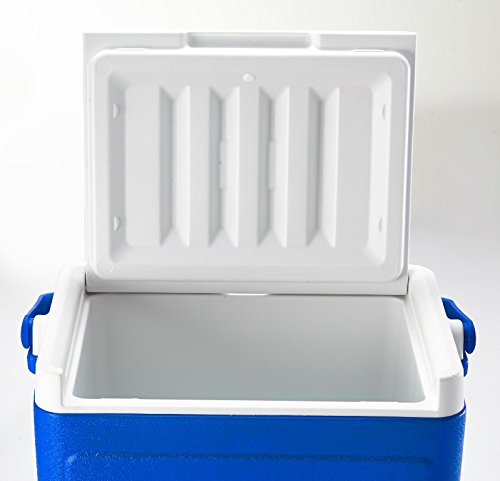 Coleman - コールマン　パーティースタッカー Amazon | Coleman(コールマン) パーティスタッカー18QT グリーン