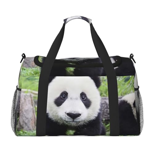 Bolsa de viaje plegable de panda: bolsa de noche grande e impermeable para deportes y playa