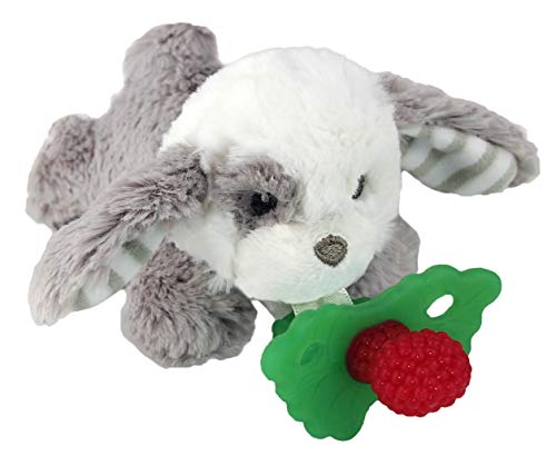 Image of RaZbaby RaZbuddy RaZberry Teether/Pacifier Holder w/Removable Baby Teether Toy - 0M+ - Bpa Free - Puppy