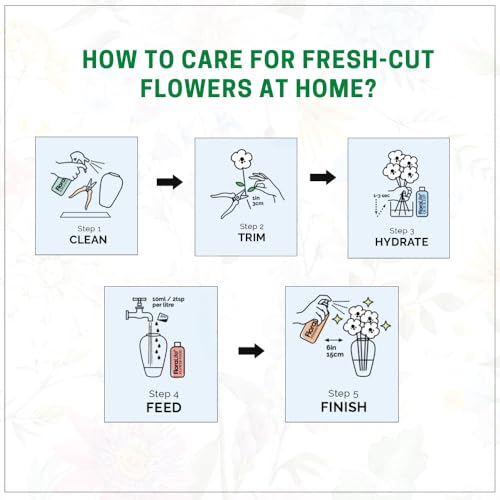 Image of Oasis FloraLife Quick Dip - Instant Hydrating Treatment Solution for Preserving Fresh-Cut Flowers - 1 Litre