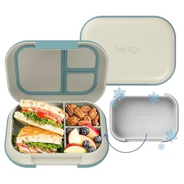 insulated bento lunch box