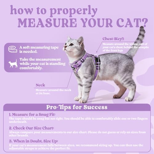 Image of rabbitgoo Cat Harness and Leash Set, Escape Proof Vest, Purr-ple Daisy | Soft Breathable Mesh, Easy Adjustable Fit, Snap Buckles, Sturdy Clip, Reflective Strips, for Average Cats Walks, S