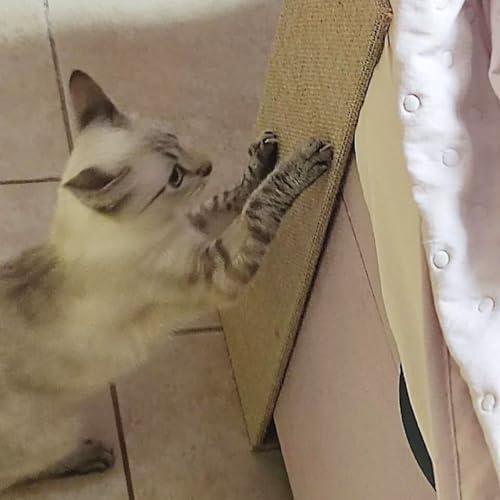 Arranhador Para Gatos Protetor De Sofá E Cama Box Com 2 Unidades (TELA SISAL)
