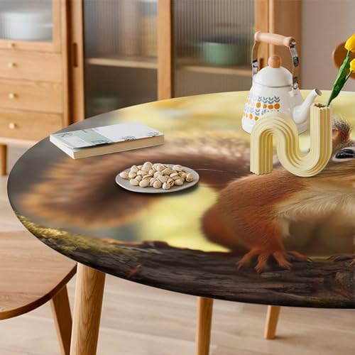 Nappe de table écureuil imperméable extensible nappe cuisine ronde infroissable fête