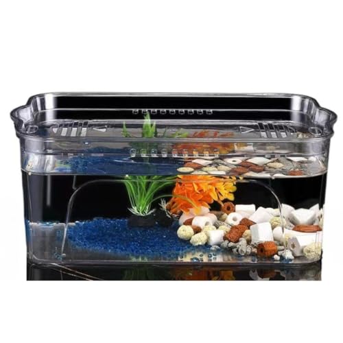 Oceanight vX`bN  Wt 傫 A͔| e  h Ȑ ƒp ȋ̐  pi 琬 CeA Sޗ Ϗ܋p (؃fł,L)