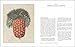 John Reeves: Pioneering Collector of Chinese Plants and Botanical Art