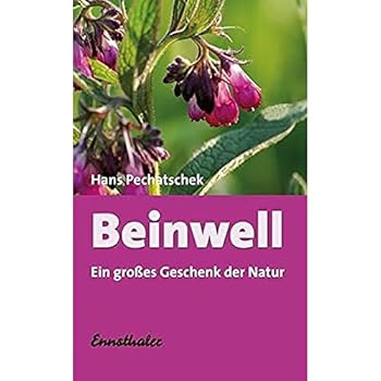 Paperback Beinwell. [German] Book